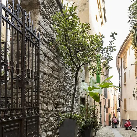 Appartments Da Gina-4 By Interhome Apartment Ascona